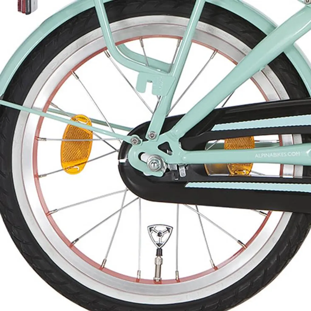 Roue Alpina 16 J20 Salomon Zinc SPK robuste avec moyeu haute fluidité