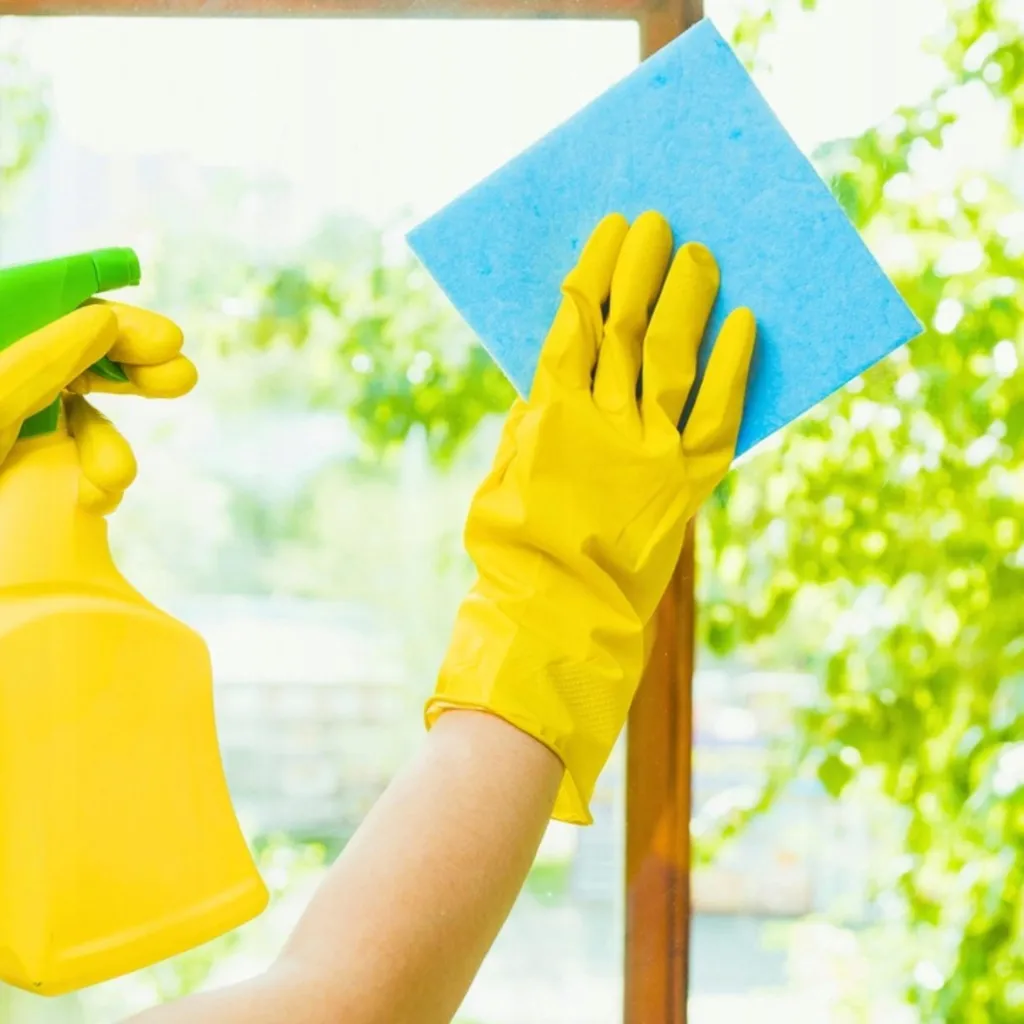 Detergente Vetri e Specchi 5L - Pulizia Profonda e Rispetto - 5