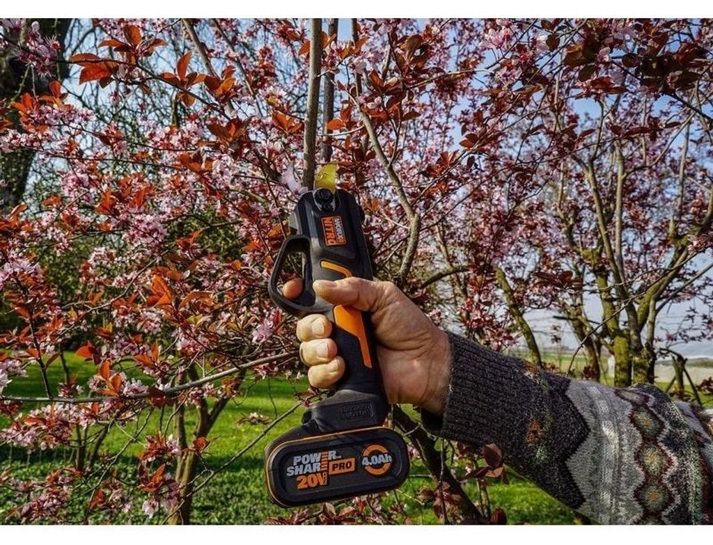 WORX WG330E.9, 2,5 cm, Schwarz, Orange, Titan, Akku, 20 V, Produktbild 