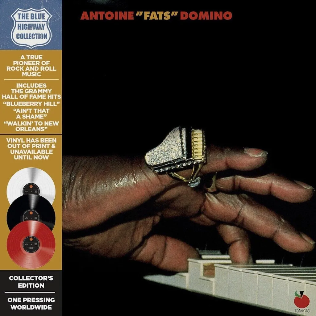 Vinyle Fats Domino Édition Collector 3 LP Musique Salon et Cadeau