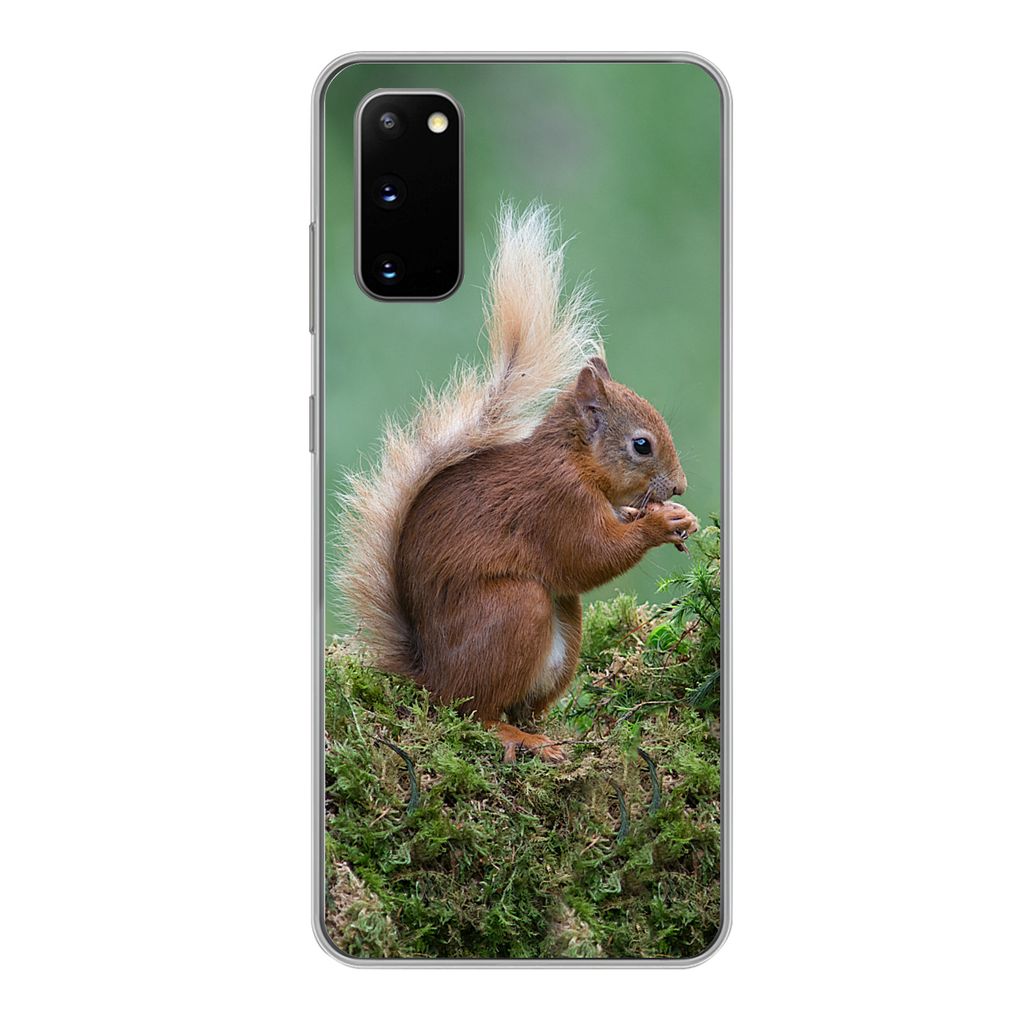 MuchoWow Handyhülle Schutzhülle Hülle für Samsung Galaxy S20 Eichhörnchen - Wald - Moos Silikon Softcase Handy Hülle - Bild