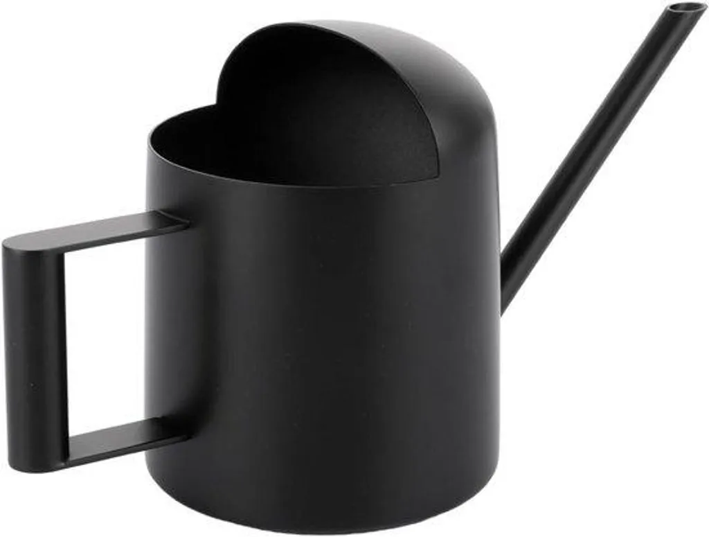 Mini arrosoir en acier inoxydable 300 ml noir mat pour petites plantes