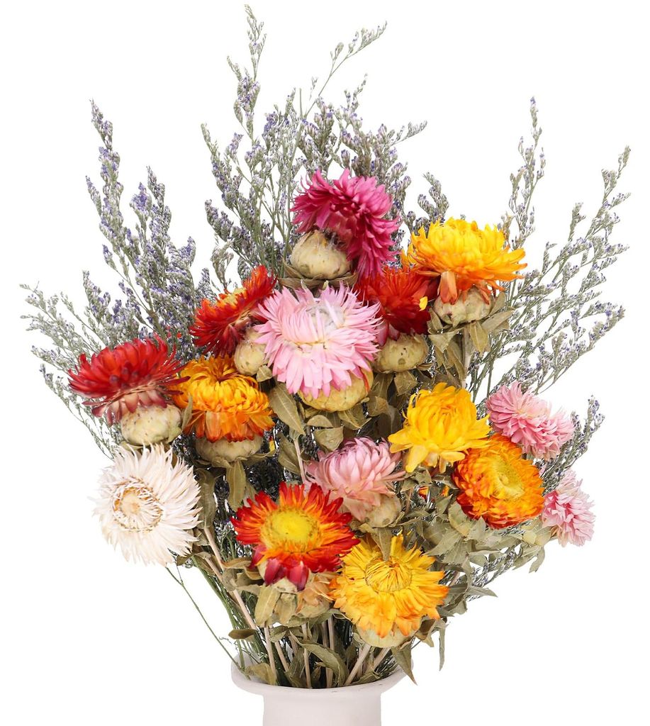 Bouquet de fleurs séchées : camomille et immortelle Image du produit 