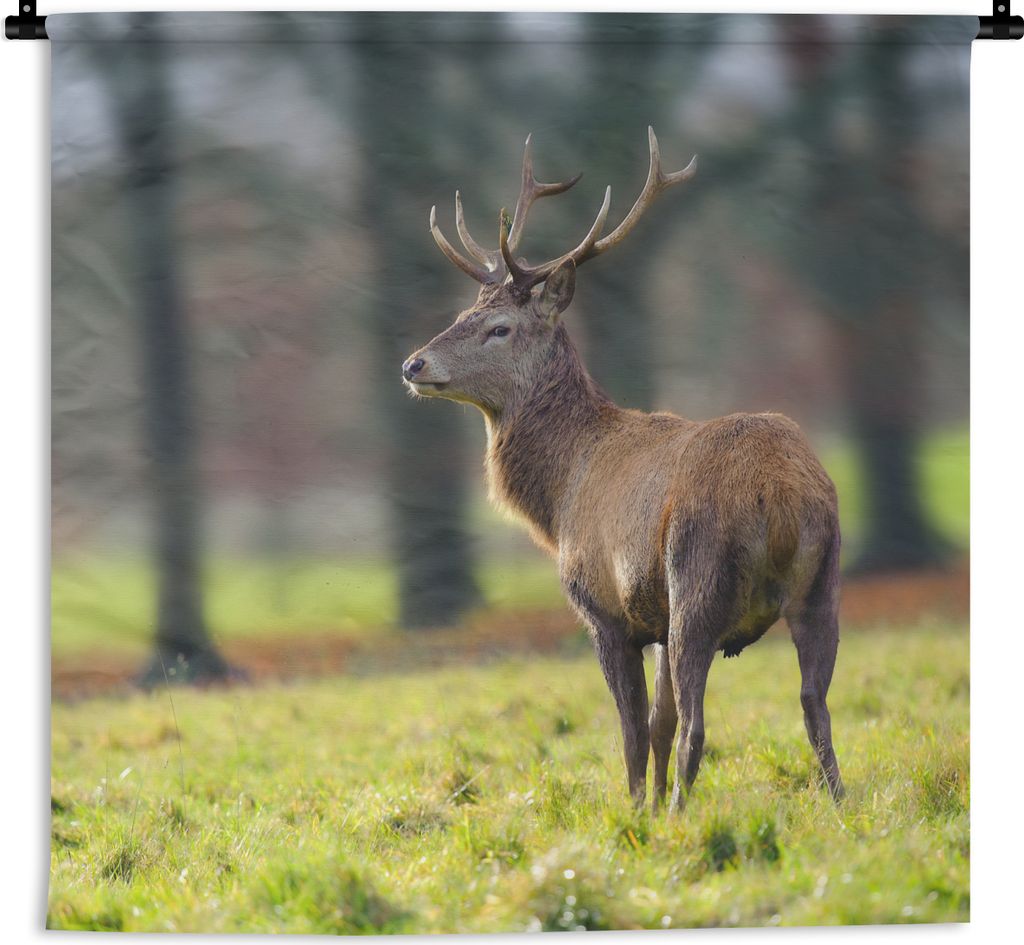 MuchoWow Wandteppich Wandbehang Rothirsch - Wiese - Grün 90x90 cm Tapisserie Dekoration Wandtuch - Wandaufhänger