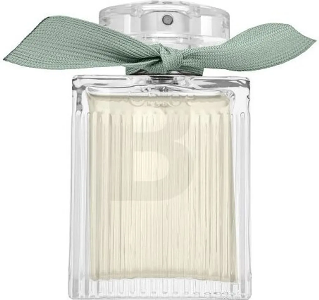 Chloé Eau de Parfum Naturelle 100 ml - Parfum Femme Vegan et 100% Naturel