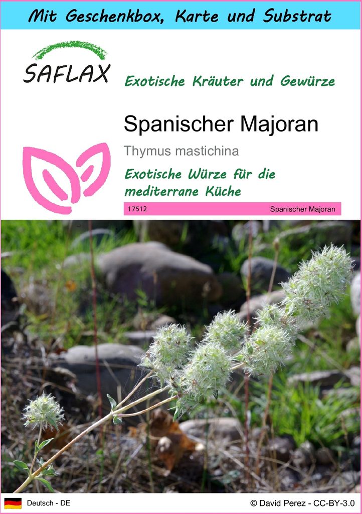 SAFLAX - Geschenk Set - Kräuter - Spanischer Majoran - 250 Samen - Mit Geschenk- / Versandbox, Versandaufkleber, Geschenkkarte und Anzuchtsubstrat...