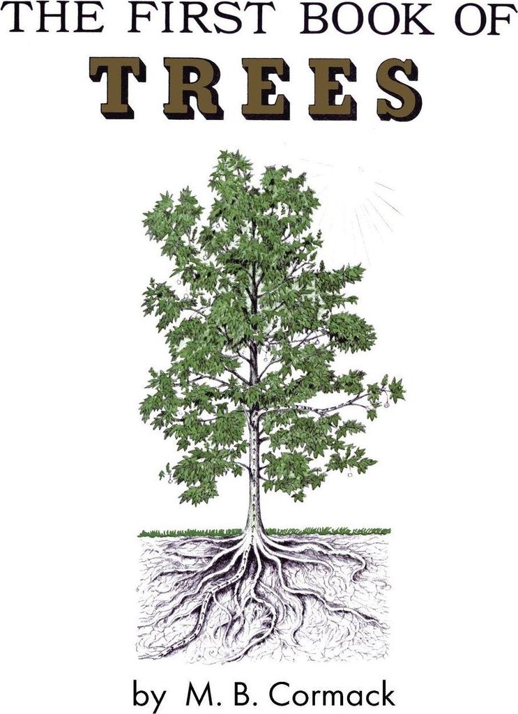 The First Book of Trees