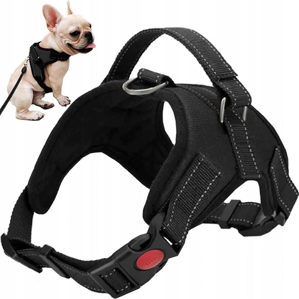 A French Bulldog wearing a black dog harness with a leash attached, shown next to a close-up of the harness.