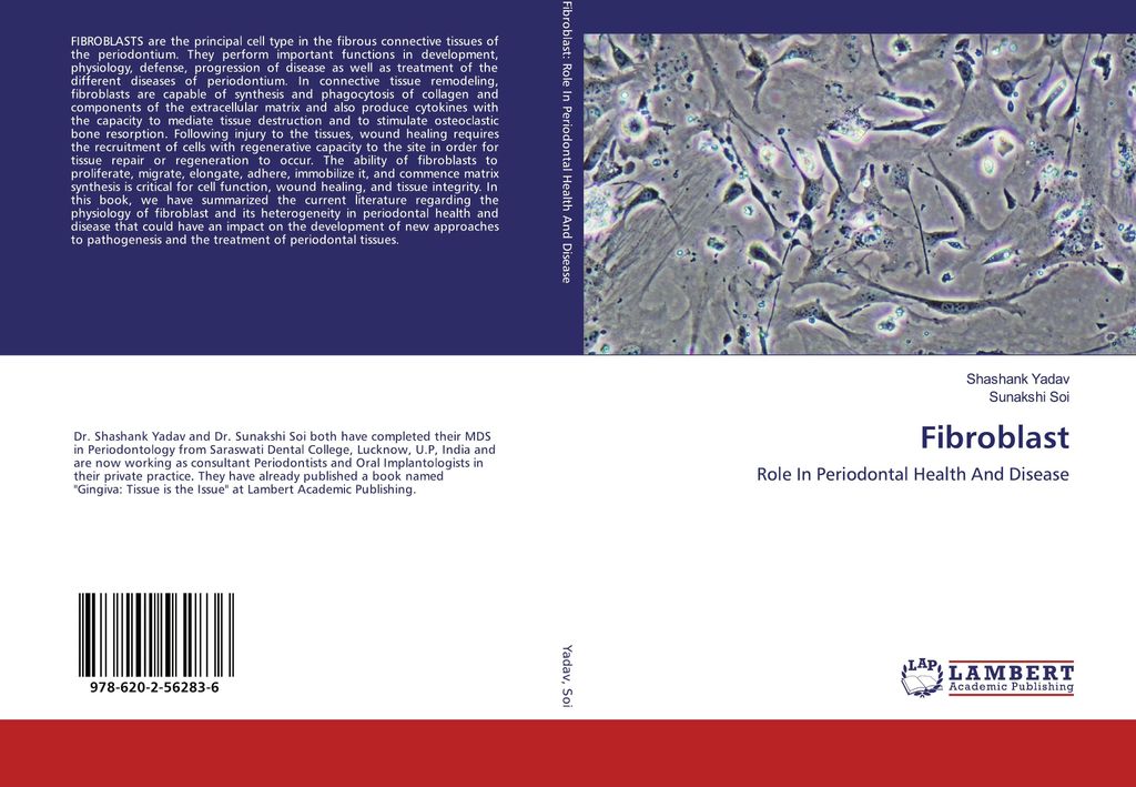 Fibroblast