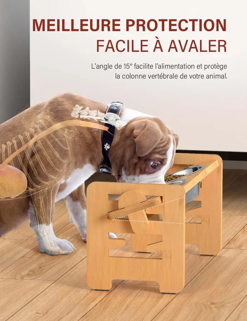 Mangeoire anti-reflux surélevée, gamelles réglables pour chien/chat