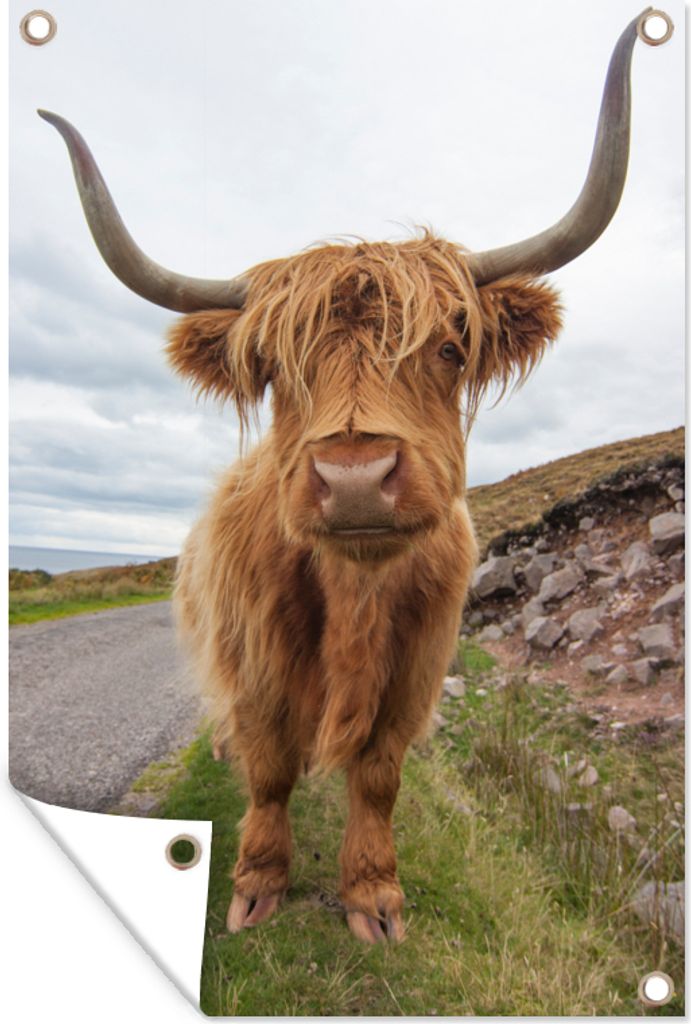 MuchoWow 80x120 cm Outdoor-Poster Gartendeko Sichtschutz Garten Poster für den Garten Schottischer Highlander - Hörner - Berg