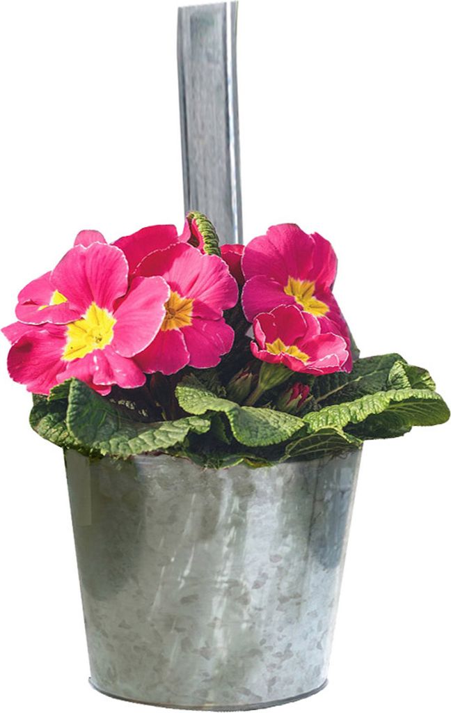 Zinkový kvetináč na zavesenie Ø 13 cm - sada 6 kusov - Obrázok produktu 7