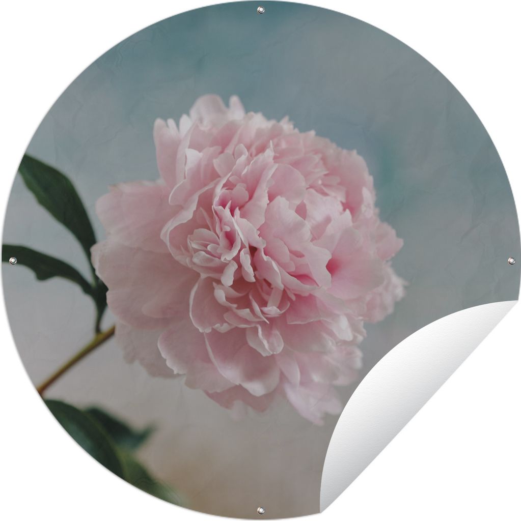 MuchoWow Gartenposter Outdoor-Poster Rund Rosa Pfingstrose auf grauem Hintergrund Ø 150 cm Gartendeko Rundes Poster draußen