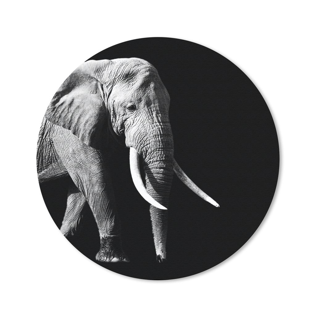 MuchoWow Mauspad Mousepad Elefant - Zähne - Tiere - Schwarz - Weiß 40x40 cm - Mousepads - Maus Mat - Pad - Mausunterlage - Schreibtisch Accesso...