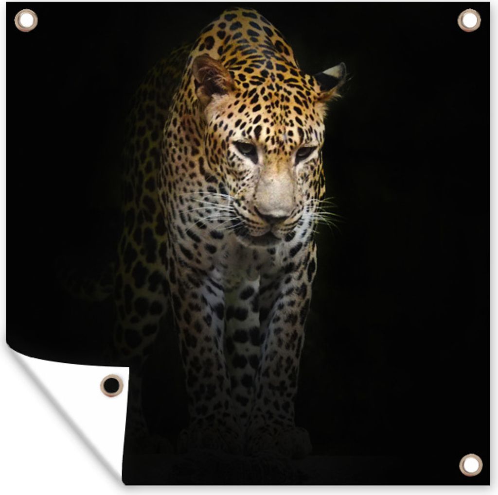 MuchoWow 100x100 cm Outdoor-Poster Gartendeko Sichtschutz Garten Poster für den Garten Leopard - Reflexion - Schwarz