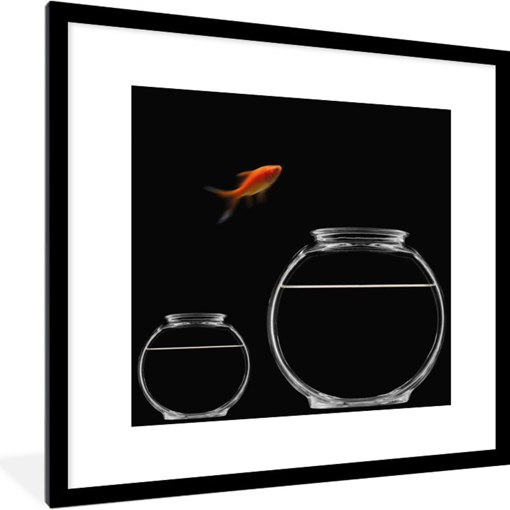 MuchoWow Gerahmtes Poster Goldfisch - Fischglas - Schwarz 40x40 cm - Poster mit Schwarzem Bilderrahmen Wandposter Rahmen Foto Bilder - Poster - P...