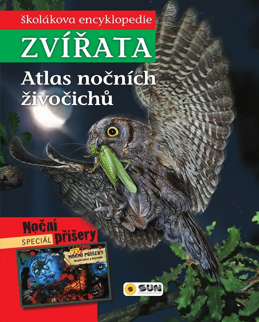 Atlas des animaux nocturnes : Grand album avec illustrations XXL