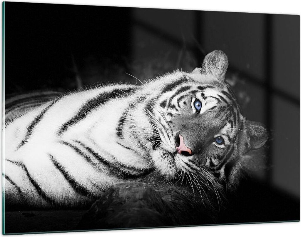 Bilder auf glas - Einteilig - Weiß Tiger Schwarz und Weiß - 120x80cm - Glasbilder - Wandbilder - Bilder - Wanddekoration aus Glas - Glas Bilder -...