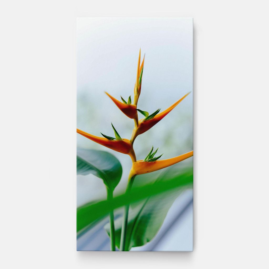 ARTHUB Leinwandbild 60x120 cm, Exotic Orange Green | Wohnzimmerdekoration, Hängende Bilder, Wanddekoration, Heimdekoration, Blumen, Exotische Bl...