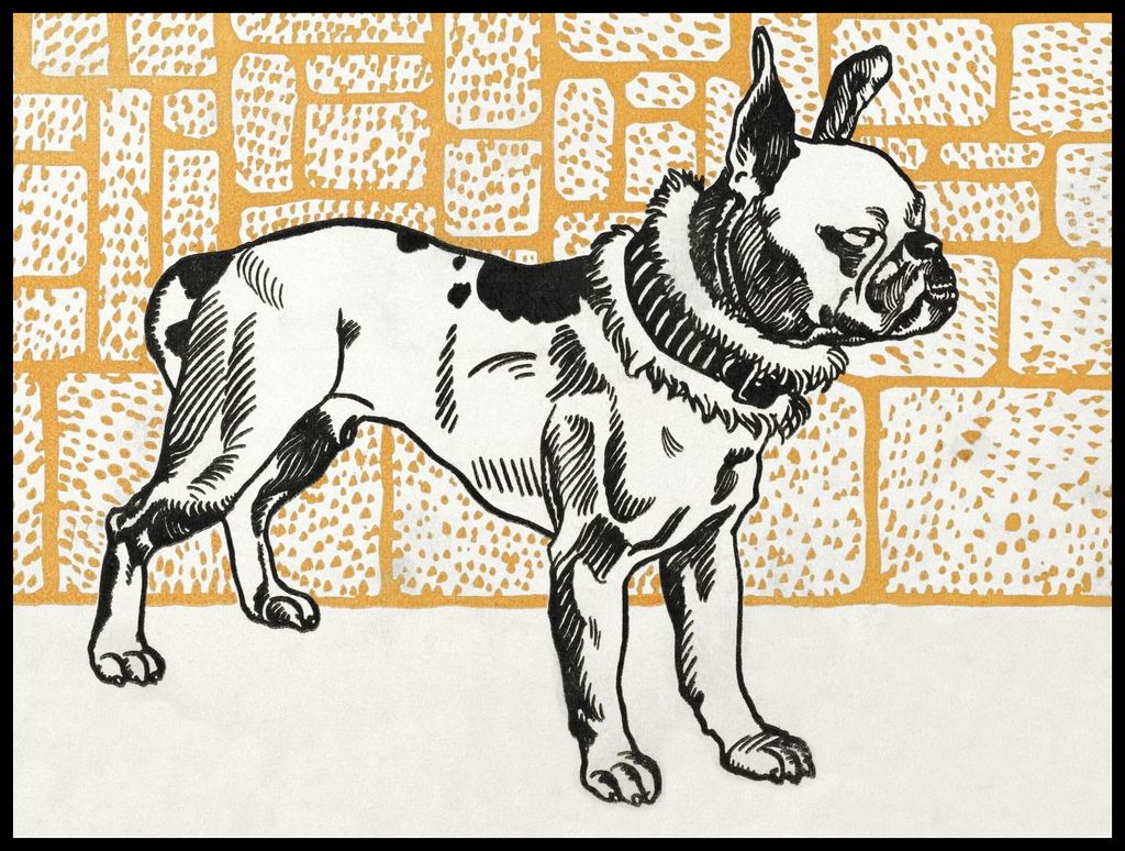 Plakat 100x75cm Pitbull Terrier, Moriz Junga Vintage für das Wohnzimmer
