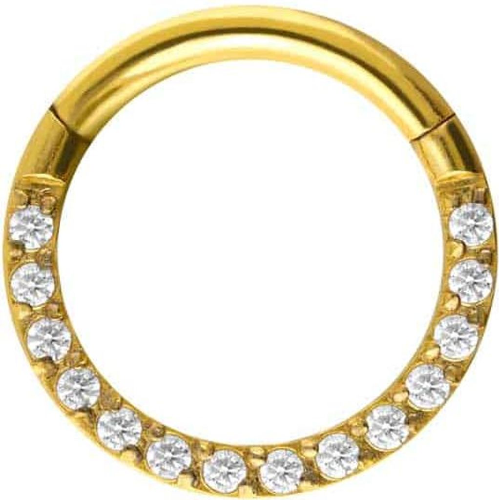 Ohrpiercing, Nasenpiercing, Septum Piercing Titan Segmentring Clicker EINGEFASSTE KRISTALLE Gold Innendurchmesser: 8 mm