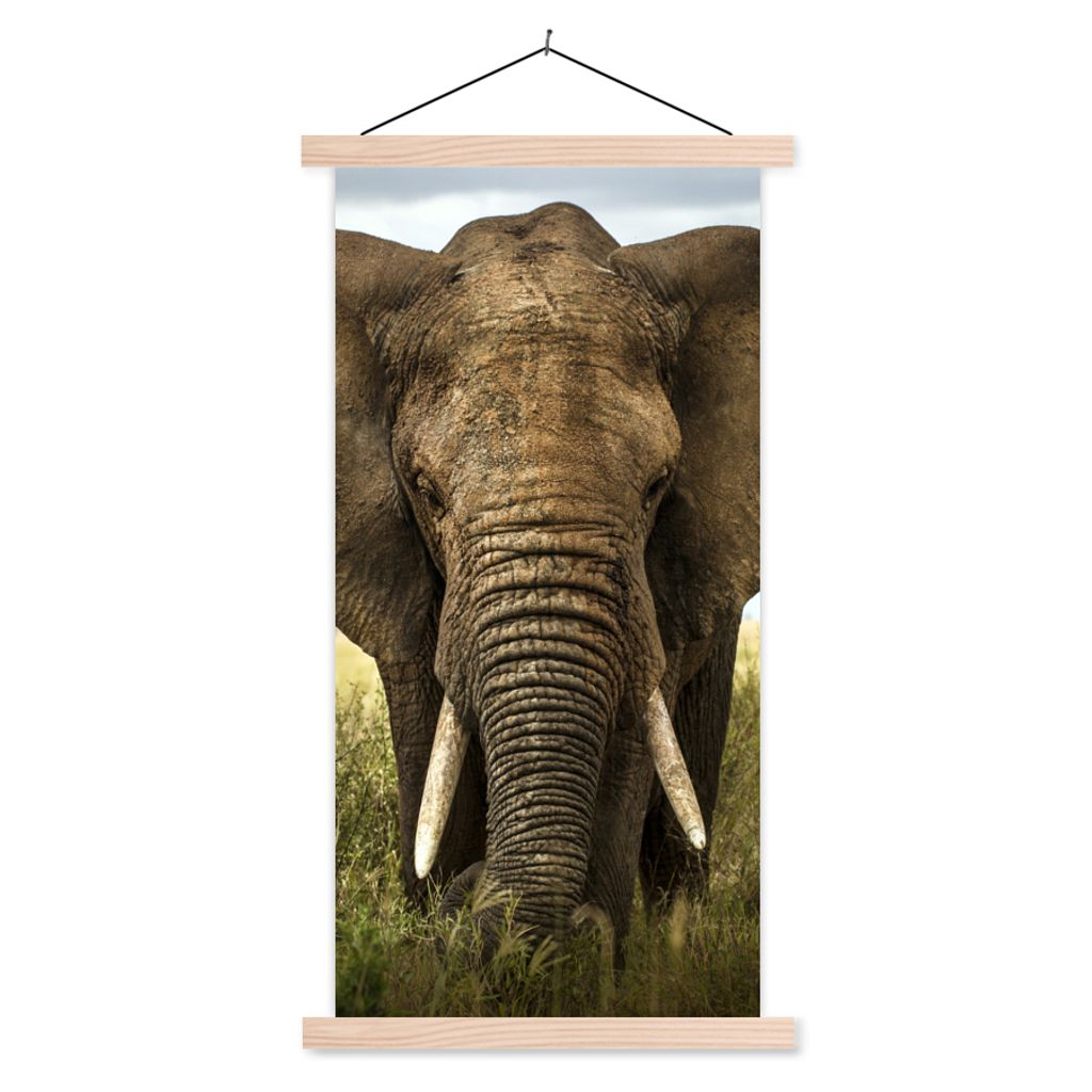 MuchoWow Textilposter Elefant - Natur - Gras - Tiere - Landschaft 60x120 cm mit holzfarbenen Rahmen - Holz