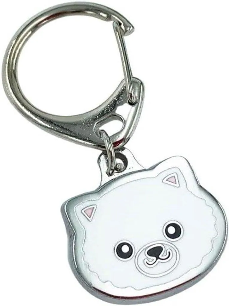 Médaille d'Identification Chien Pomeranien - Porte-clés Métal de Qualité