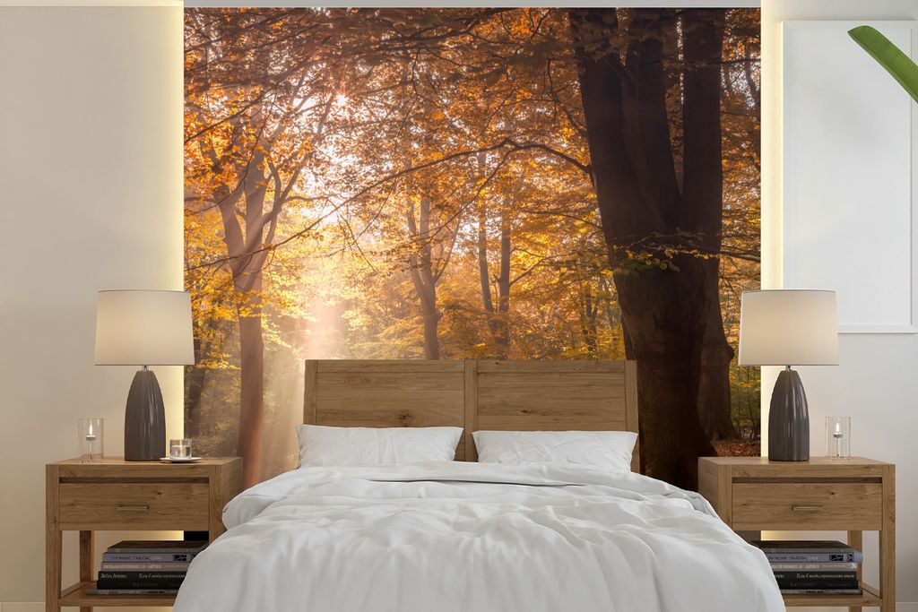 MuchoWow Fototapete für Wohnzimmer oder Schlafzimmer Wandtapete Vinyl Motivtapete Bäume - Herbst - Orange - 220x220 cm - Tapeten