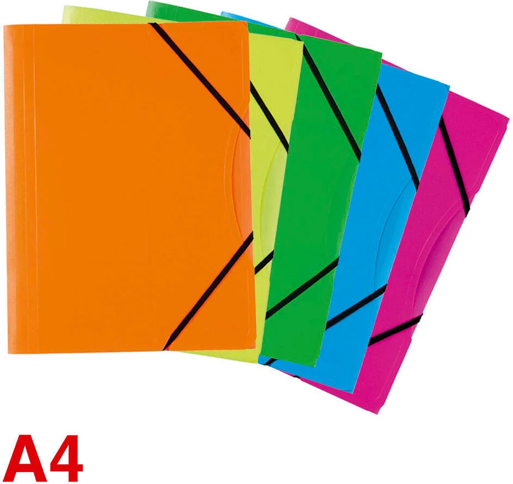 Cartelle Folia 6929 NEON - Colori Assortiti per Tutta la Famiglia