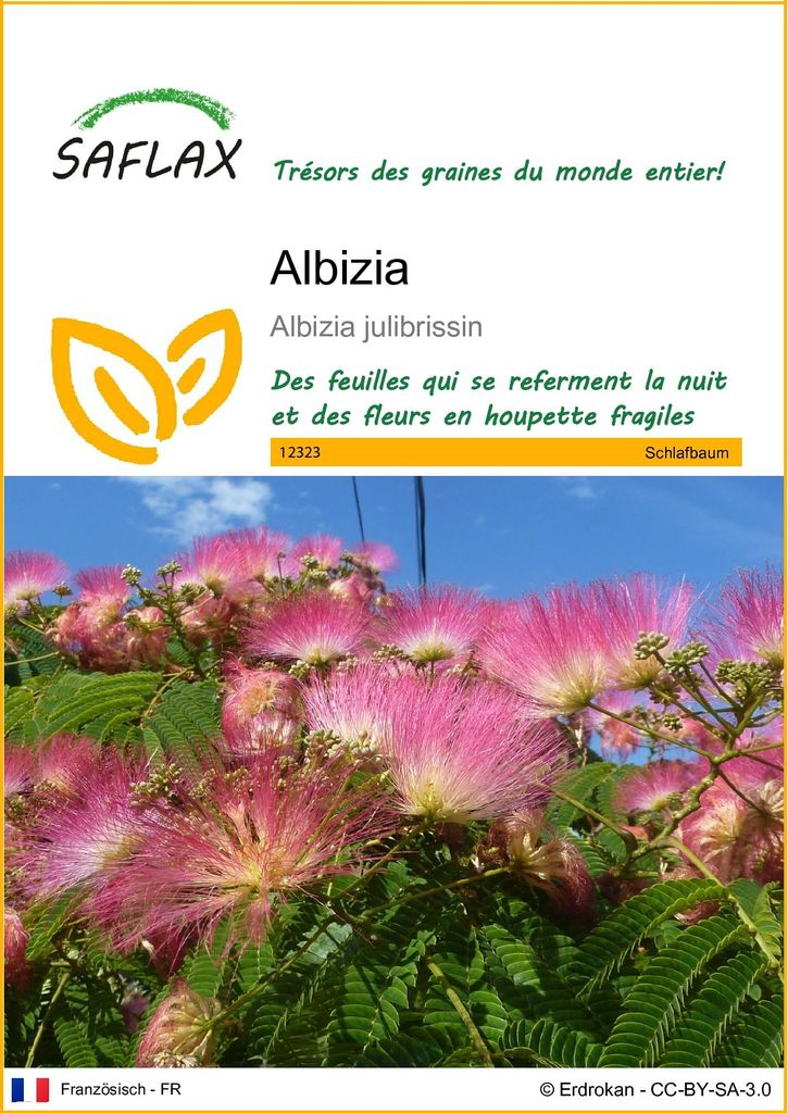 SAFLAX  - Albizia - 50 graines - Albizia Image du produit 