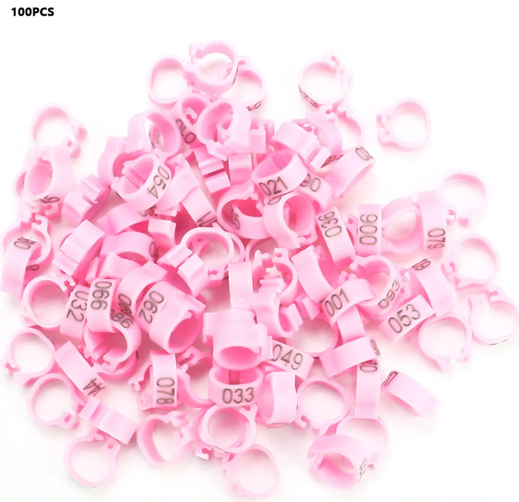 Kit 100 Anellini Rosa Numerati 0-100 per Piccioni da Gara 8mm