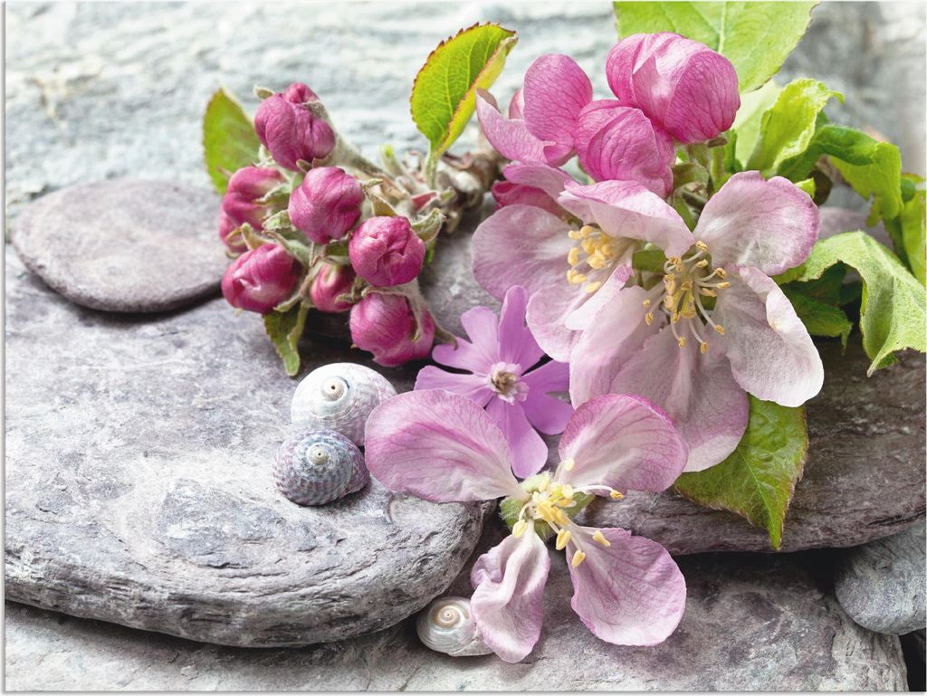 ARTland Wandbild Alu für Innen & Outdoor Apfelblüten Größe: 60x45 cm