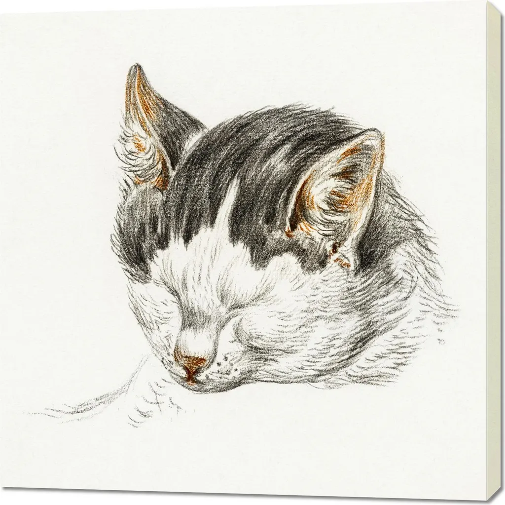Riproduzione Artistica Jean Bernard: Quadro Gatto 4 Vintage 100x100