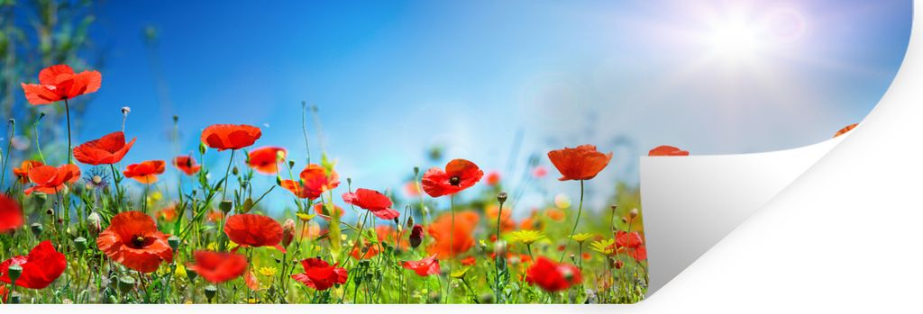 MuchoWow - Selbstklebend - Fototapeten