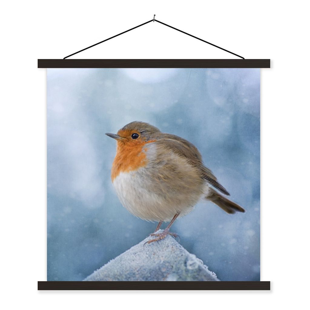 MuchoWow Textilposter Rotkehlchen - Winter - Blau 90x90 cm mit schwarzem Rahmen - Magnetisches