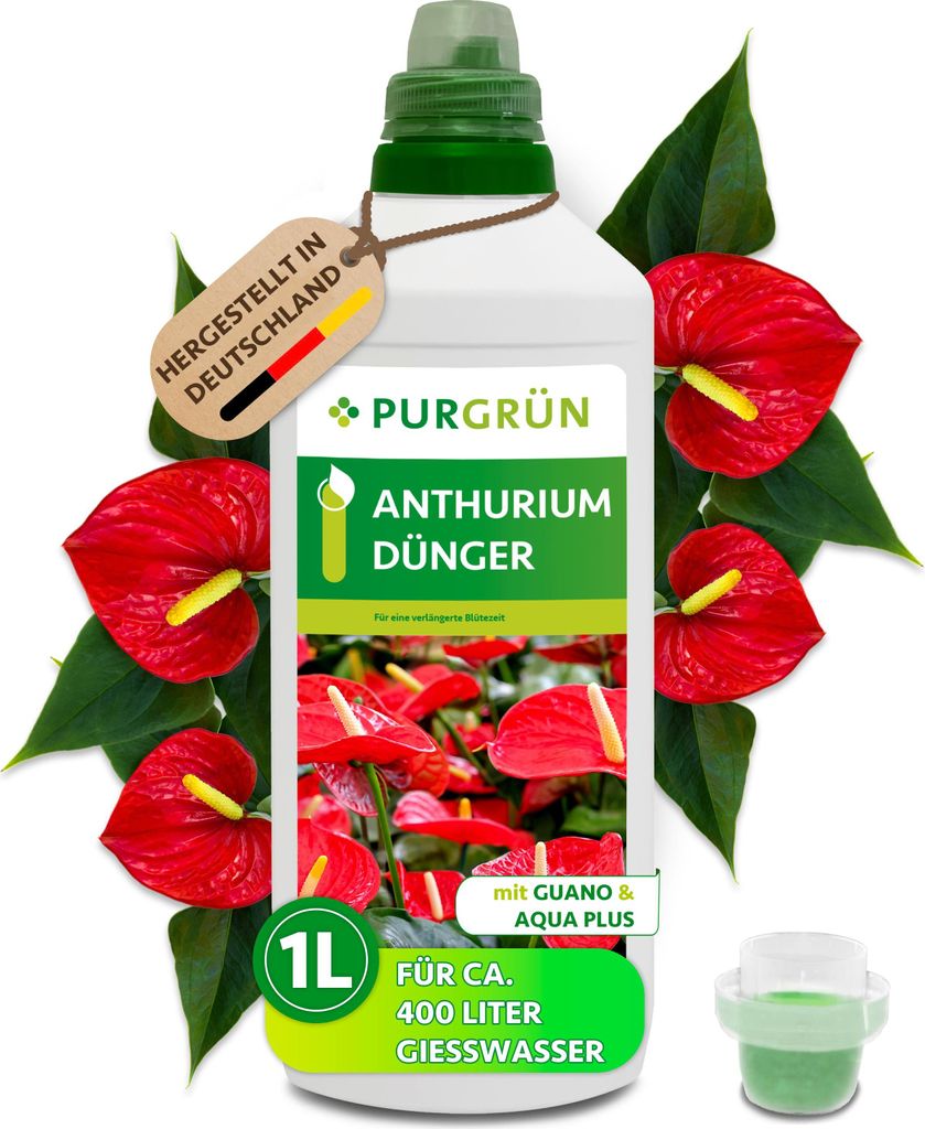 Purgrün Anthurium-Dünger | Flüssigdünger für Blüten & Wachstum | 1L
