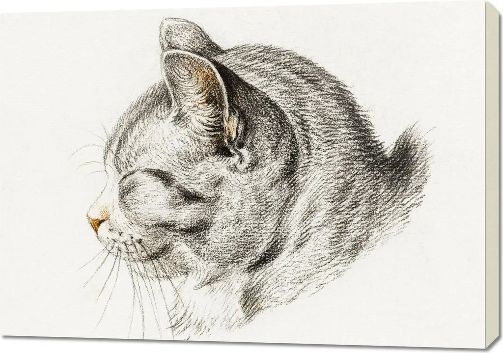 Quadro 100x70 cm Schizzo di gatto, Jean Bernard Vintage per il salotto