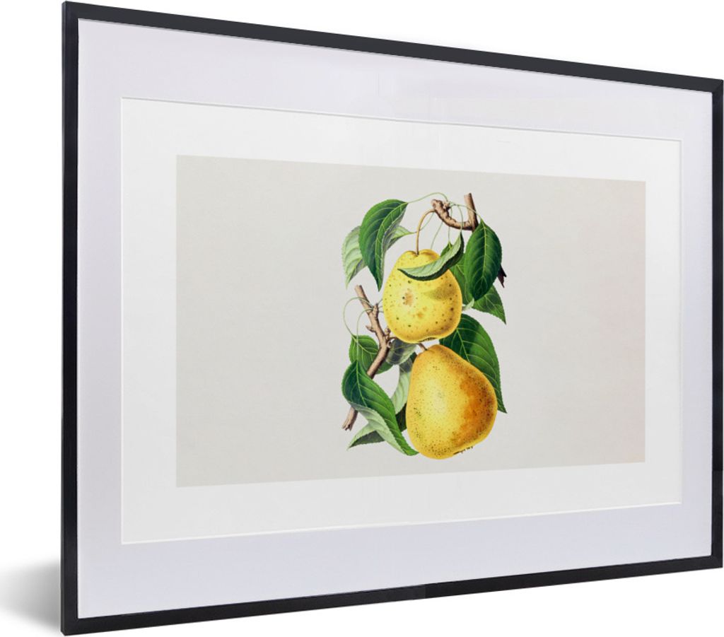 MuchoWow Gerahmtes Poster Birnen - Obst - Gesund 40x30 cm - Poster mit Schwarzem Bilderrahmen Wandposter Rahmen Foto Bilder - Bilderrahmen - Post...