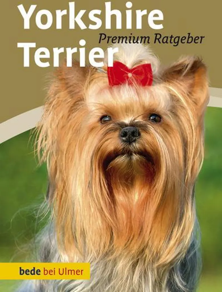 Figurine Yorkshire Terrier en résine peinte à la main pour jardin et salon