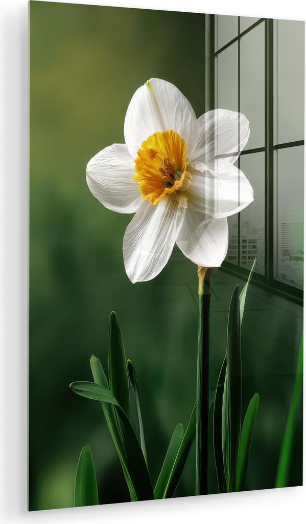 MuchoWow Glasbilder - Bilder auf Wandbild - Foto auf Glas Narzisse - Blume - Weiß - Grashalme 20x30 cm Wanddekoration aus Glas - Acrylglasbild - A...