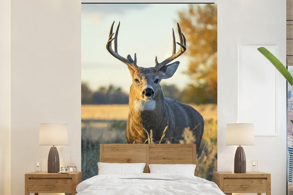 MuchoWow Fototapete für Wohnzimmer oder Schlafzimmer Wandtapete Vinyl Motivtapete Hirsche - Gras - Herbst - Geweih - Natur - Tiere - 195x300 cm ...