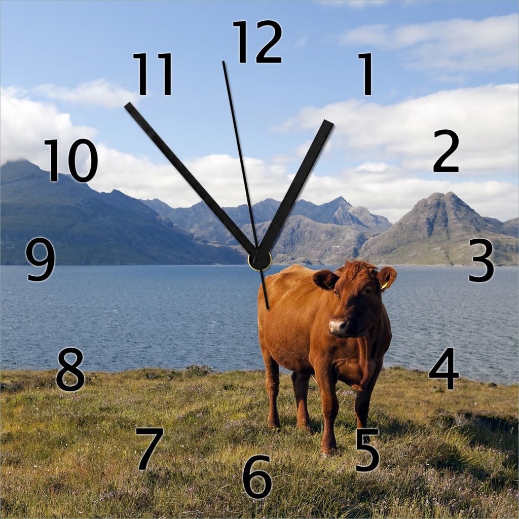 Wallario Design Wanduhr Kuh in den Bergen aus Echtglas, Größe 30 x 30 cm