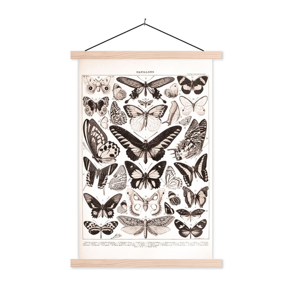 MuchoWow Textilposter Schmetterling - Insekten - Tiere 40x60 cm mit holzfarbenen Rahmen - Poster