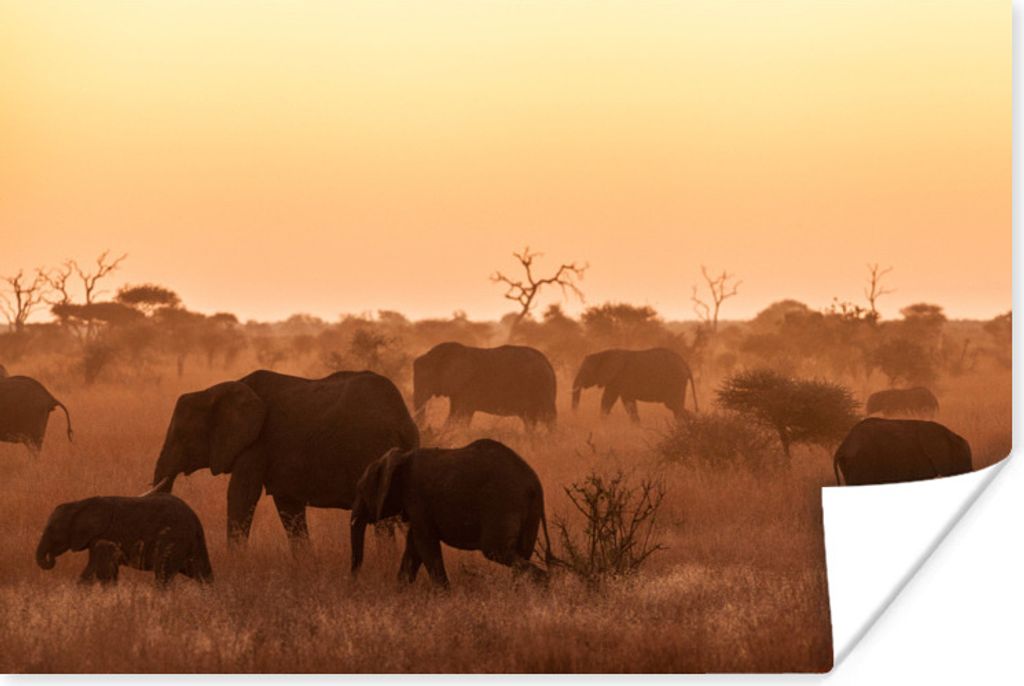 MuchoWow Poster Wilde afrikanische Elefanten des Krüger-Nationalparks in Südafrika 180x120 cm - Fotoplakat