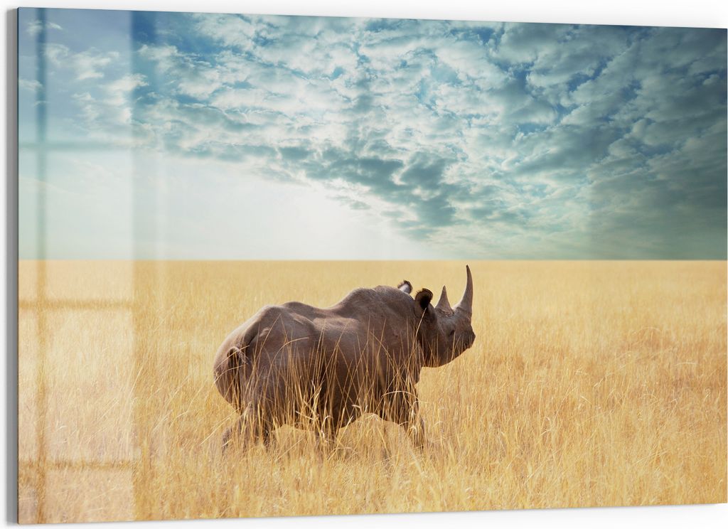 DEQORI Magnettafel Glas 60x40 cm 'Goldene Wildnis' beschreibbar Whiteboard Pinnwand Küche