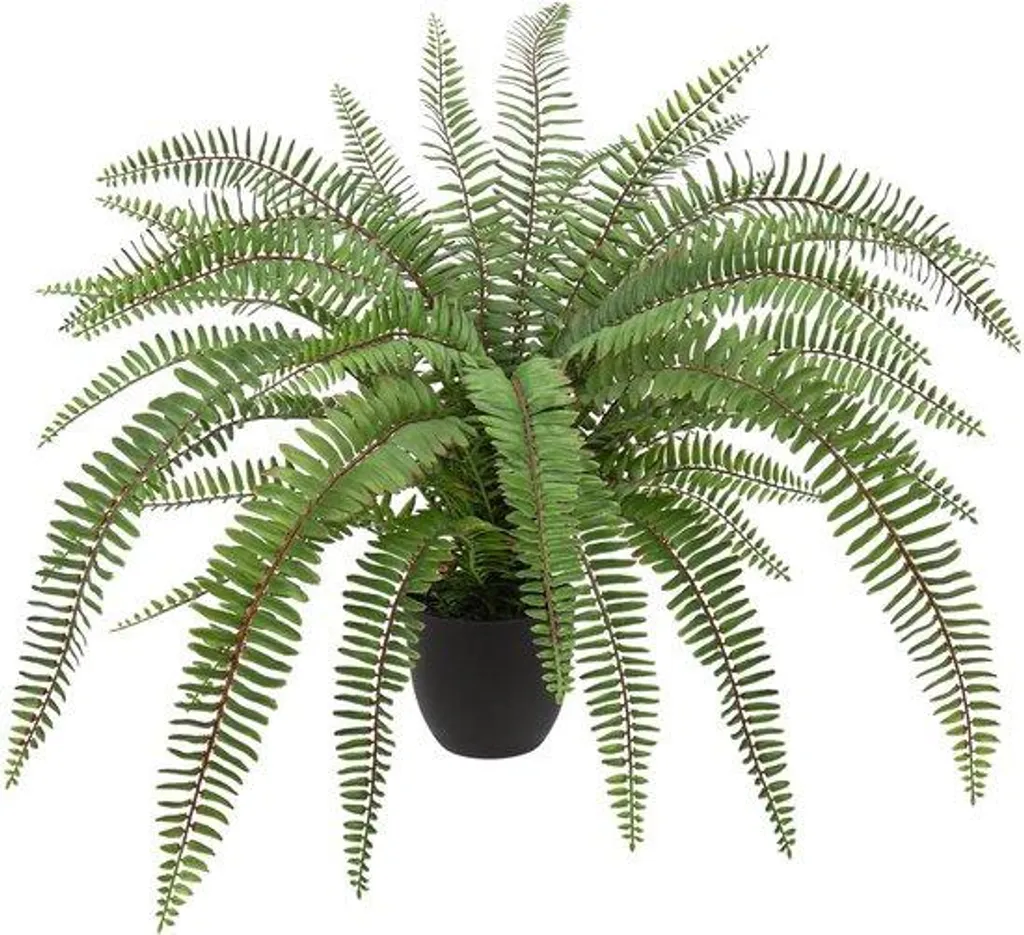 Grand Pot pour Arbre de Vie - Décoration Terrasse et Jardin Naturel