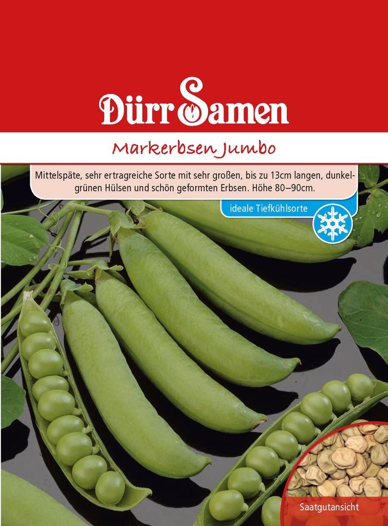 Markerbse Jumbo | Markerbsensamen von Dürr Samen Produktbild 