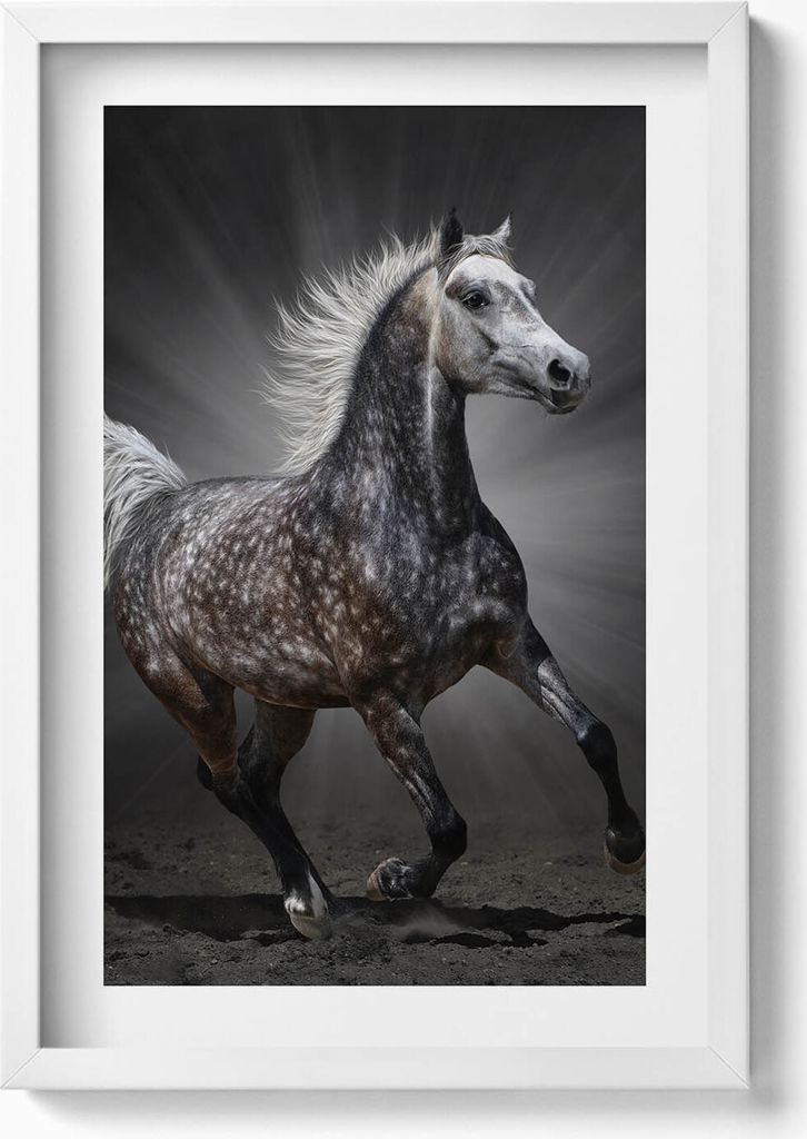 Galoppierendes Pferd– Wandbild mit Rahmen – Gerahmtes Bild – Wanddekoration – 40x60 cm – Weiß