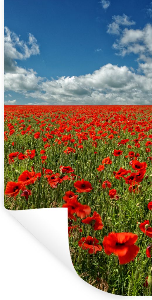 MuchoWow Wandtattoo Wandsticker Wandaufkleber Schneeweiße Wolken über einem Mohnblumenfeld 40x80 cm Selbstklebend und Repositionierbar - Reposi...