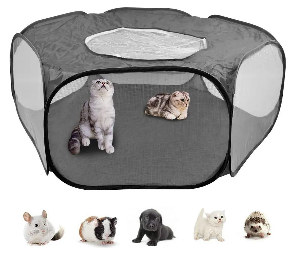 Cage de jeu pour cochon d'Inde et lapin enclos transportable de jardin